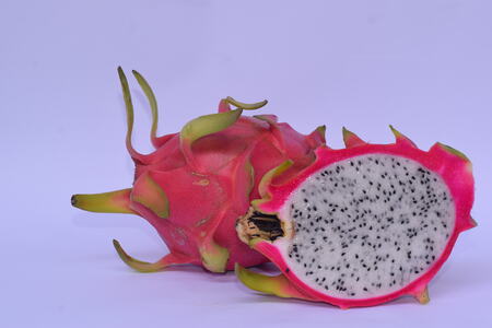 Dragon fruit plantation aerial view